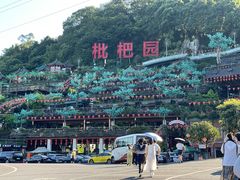 -枇杷园食为鲜火锅(南山店)