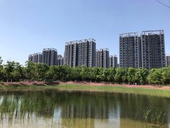 -天鹅湖体育公园