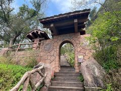 -江西龙虎山景区