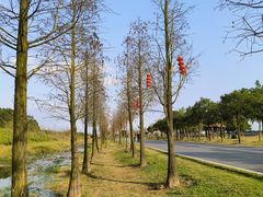 -露天矿生态公园