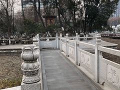 -莲湖公园