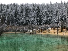 -黄龙山原始森林景区