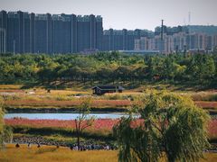 -永定河休闲森林公园