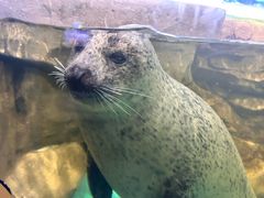 -常州海昌海洋探索馆