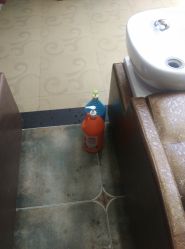 -金鹰标榜美容美发美体连锁机构