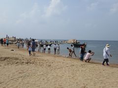 -老虎石海上公园