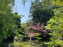 -上海醉白池公园