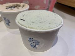 薄荷巧克力-歎雪糕低糖低脂Gelato冰淇淋