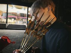 -新疆阿力烧烤