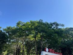 -顺峰山公园