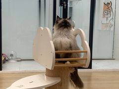 -1013 PET SHOP 宠物商店(近铁城市广场店)