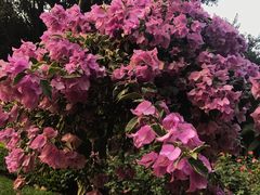 -人民公园(罗湖区)