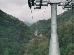 -栾川竹海野生动物园