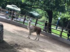 -西安秦岭野生动物园