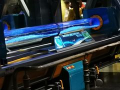 -奥兰多迪士尼动物王国乐园