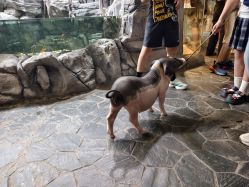 -Zoolung Zoolung动物主题公园(海信广场店)