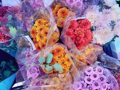 -盒马鲜生(杭州萧山万象汇店)