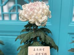 -小榄人家酒楼(民安店)