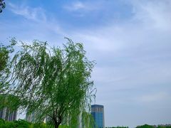 -南翔镇银翔湖公园