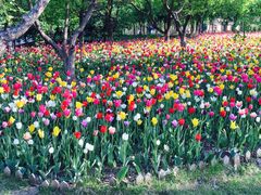 -长春公园(普阳街道)