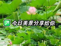 -荔湾湖公园