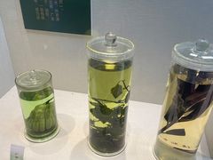 -广东中医药博物馆