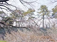 -名古屋城