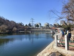 -北岭山森林公园