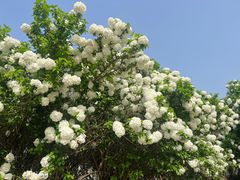 -宜兴龙背山森林公园