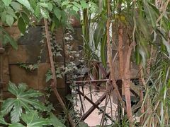 -金稼园·金平湖农家菜