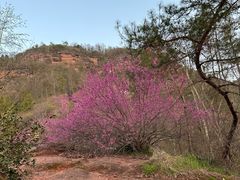 -天台山赤城山景区