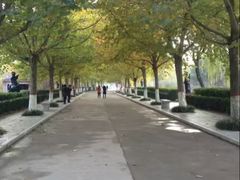 -赵州桥景区