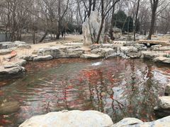 -廊坊市自然公园