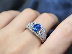 -外滩1288花园丽舍