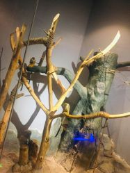 -未来动物城动物主题公园(大悦城店)