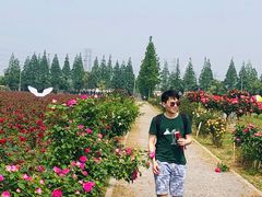 -上海长兴岛郊野公园