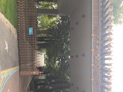 -顺峰山公园