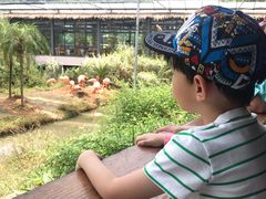 -无锡动物园·太湖欢乐园