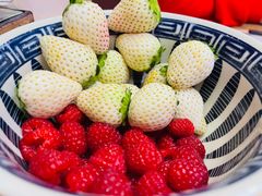 -江左尚白日本料理(万象城店)
