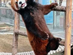 -水上乐园·欢乐世界