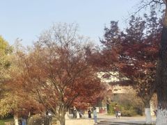 -九里河湿地公园