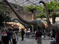 -国家自然博物馆