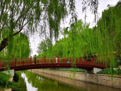 -元大都城垣遗址公园