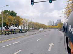 -洲头咀公园