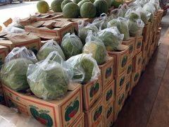 -渔民新村(番禺总店)