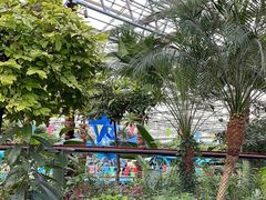 -南宫五洲植物乐园