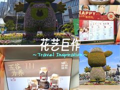 -炖物24章·顺时轻养茶(黄龙店)