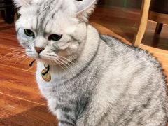 -H立方实景剧情密室(天河旗舰店)