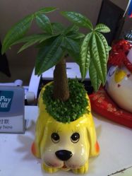 iphone_upload_pic-甲壳儿美甲美睫