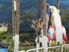 -海合安成都极地海洋公园
